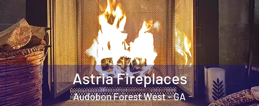 Astria Fireplaces Audobon Forest West - GA