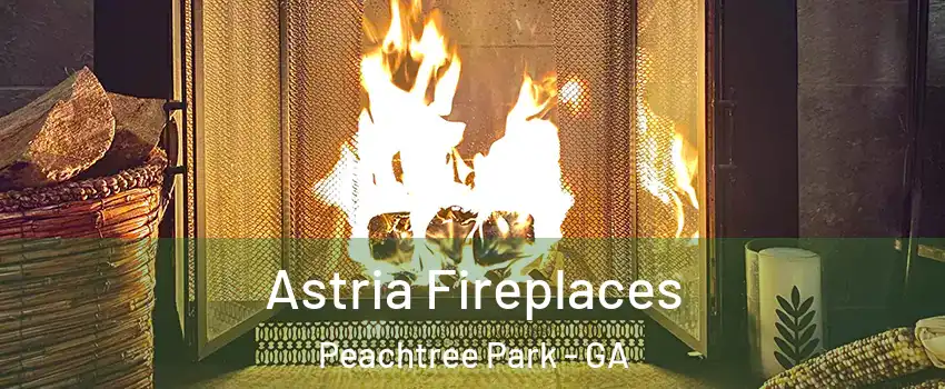 Astria Fireplaces Peachtree Park - GA