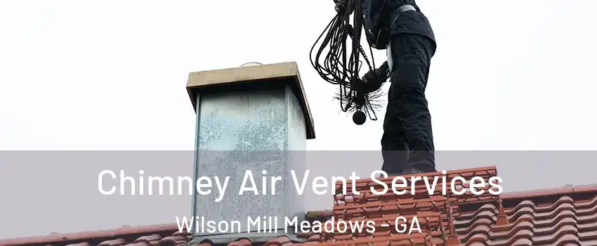 Chimney Air Vent Services Wilson Mill Meadows - GA