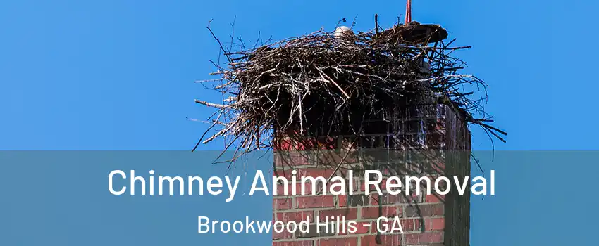 Chimney Animal Removal Brookwood Hills - GA