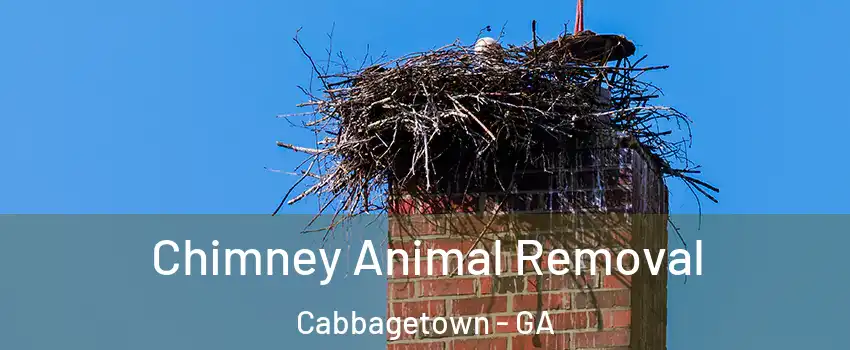 Chimney Animal Removal Cabbagetown - GA