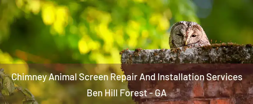 Chimney Animal Screen Repair And Installation Services Ben Hill Forest - GA