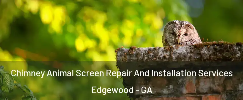 Chimney Animal Screen Repair And Installation Services Edgewood - GA