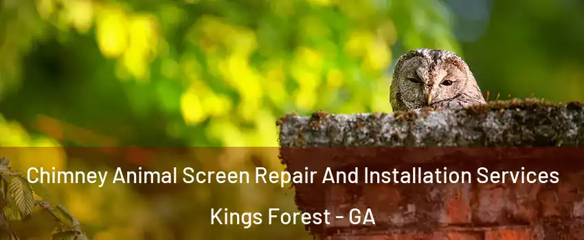 Chimney Animal Screen Repair And Installation Services Kings Forest - GA