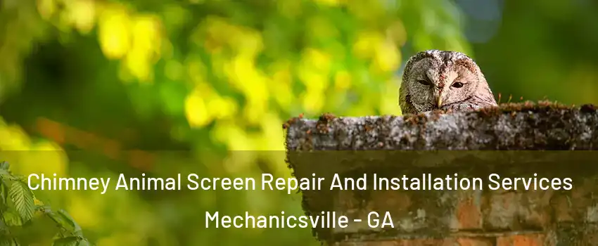 Chimney Animal Screen Repair And Installation Services Mechanicsville - GA