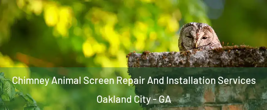 Chimney Animal Screen Repair And Installation Services Oakland City - GA