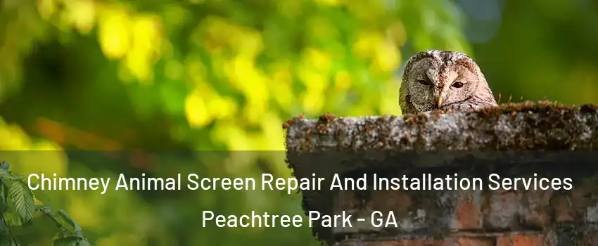 Chimney Animal Screen Repair And Installation Services Peachtree Park - GA