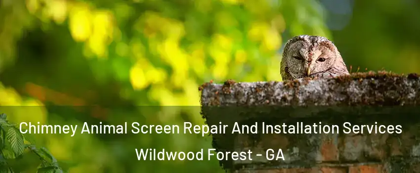 Chimney Animal Screen Repair And Installation Services Wildwood Forest - GA