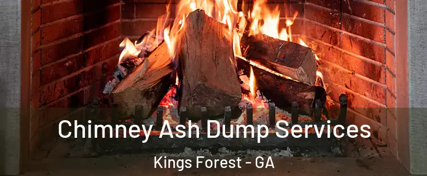 Chimney Ash Dump Services Kings Forest - GA