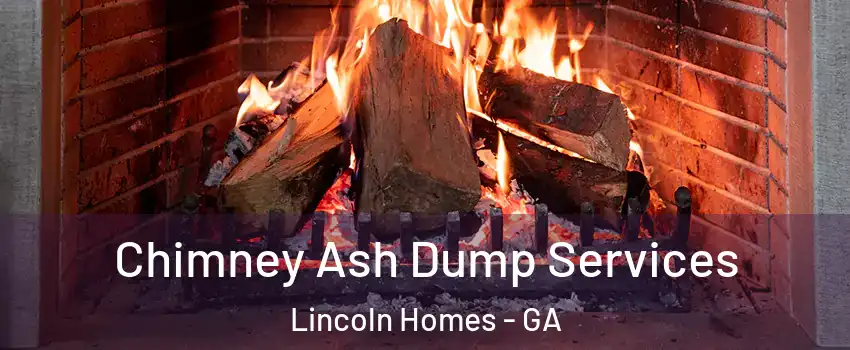 Chimney Ash Dump Services Lincoln Homes - GA