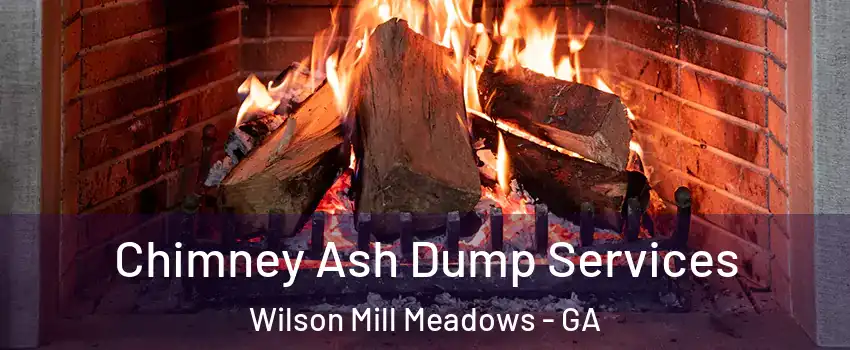 Chimney Ash Dump Services Wilson Mill Meadows - GA