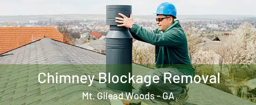 Chimney Blockage Removal Mt. Gilead Woods - GA