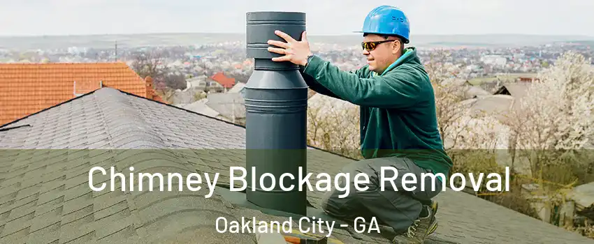 Chimney Blockage Removal Oakland City - GA