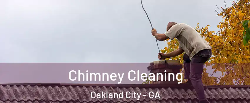 Chimney Cleaning Oakland City - GA