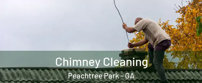 Chimney Cleaning Peachtree Park - GA