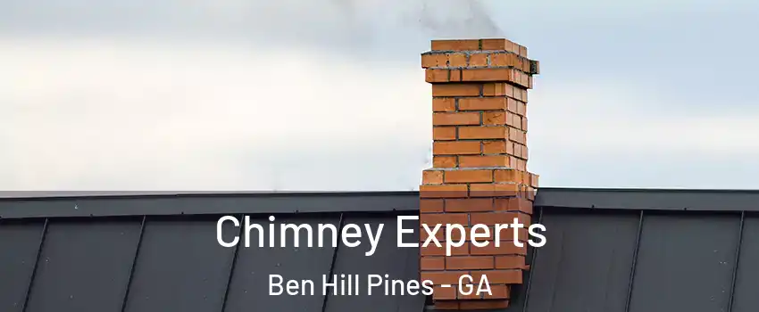 Chimney Experts Ben Hill Pines - GA