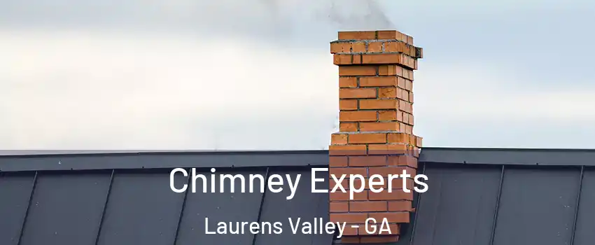 Chimney Experts Laurens Valley - GA