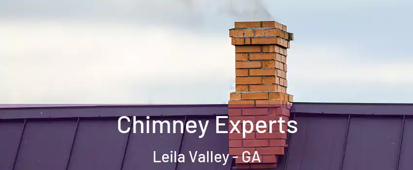 Chimney Experts Leila Valley - GA