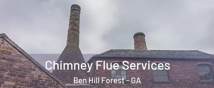 Chimney Flue Services Ben Hill Forest - GA