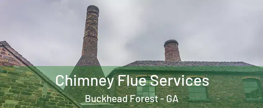 Chimney Flue Services Buckhead Forest - GA