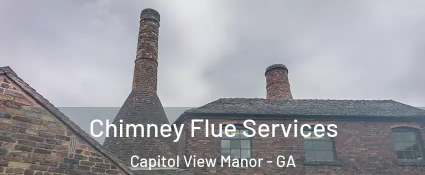 Chimney Flue Services Capitol View Manor - GA