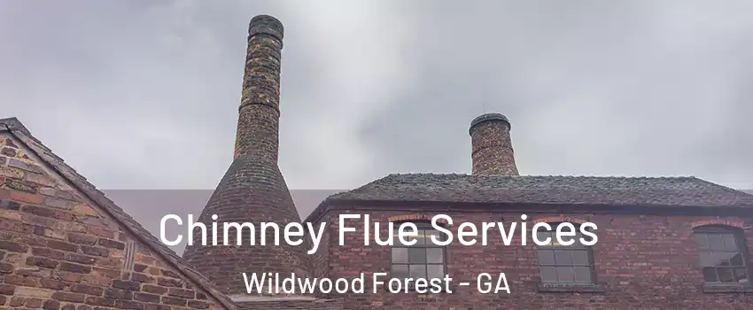 Chimney Flue Services Wildwood Forest - GA