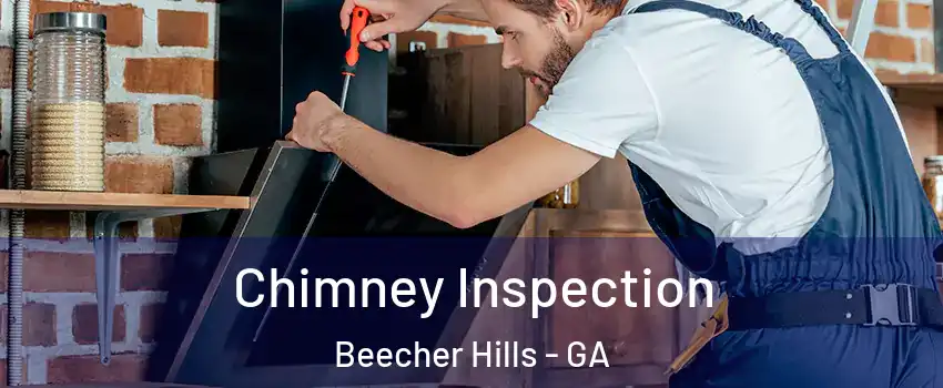 Chimney Inspection Beecher Hills - GA