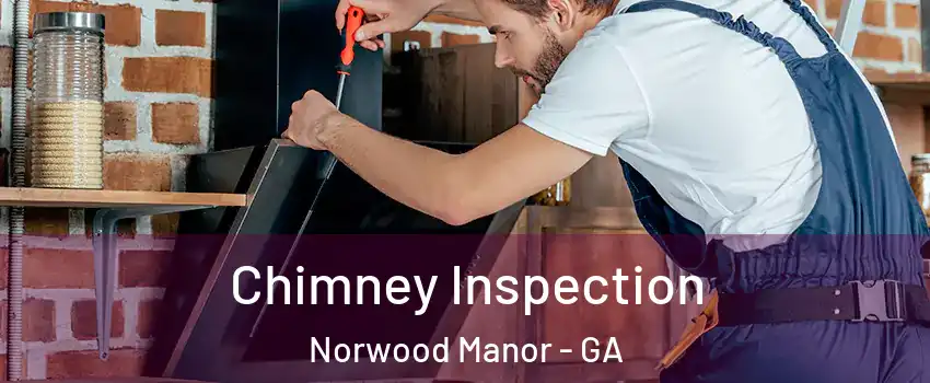 Chimney Inspection Norwood Manor - GA