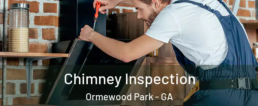 Chimney Inspection Ormewood Park - GA