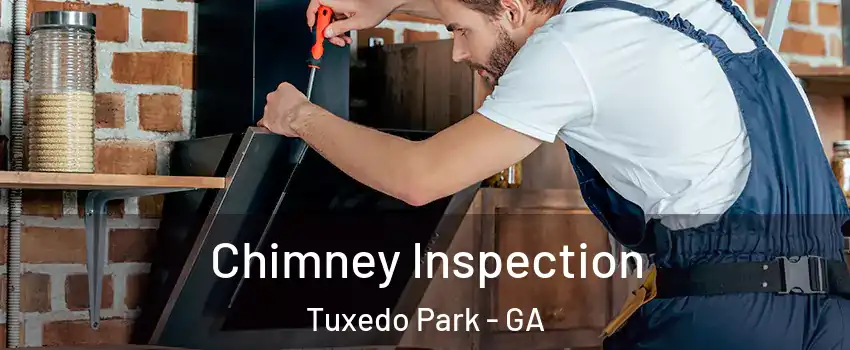 Chimney Inspection Tuxedo Park - GA