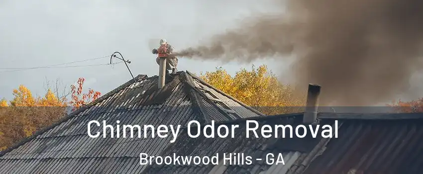 Chimney Odor Removal Brookwood Hills - GA