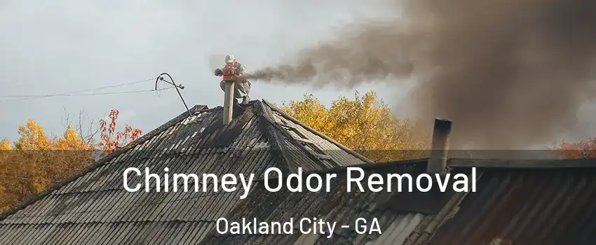 Chimney Odor Removal Oakland City - GA