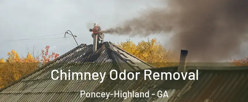 Chimney Odor Removal Poncey-Highland - GA