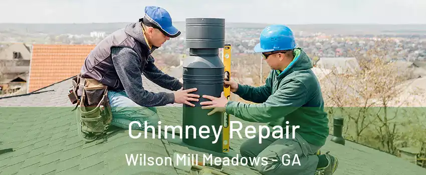 Chimney Repair Wilson Mill Meadows - GA