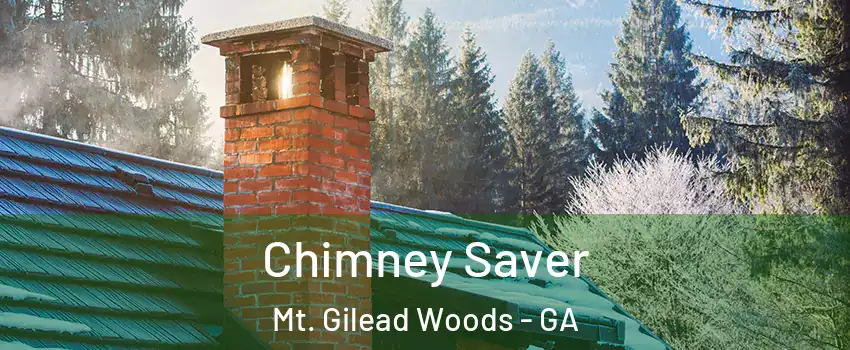 Chimney Saver Mt. Gilead Woods - GA