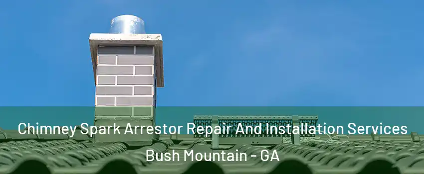 Chimney Spark Arrestor Repair And Installation Services Bush Mountain - GA