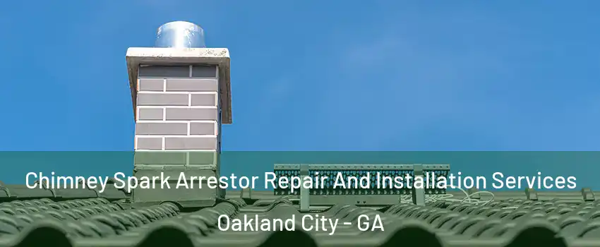 Chimney Spark Arrestor Repair And Installation Services Oakland City - GA