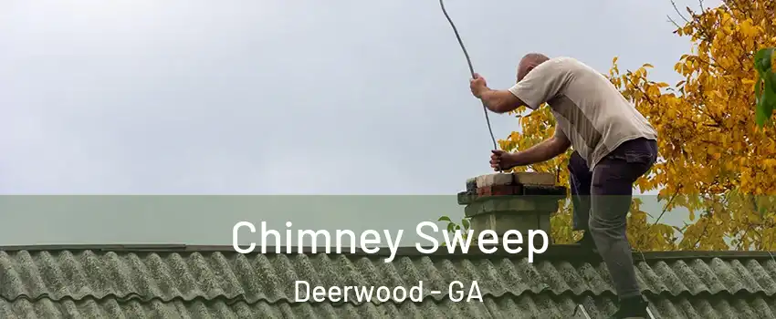 Chimney Sweep Deerwood - GA