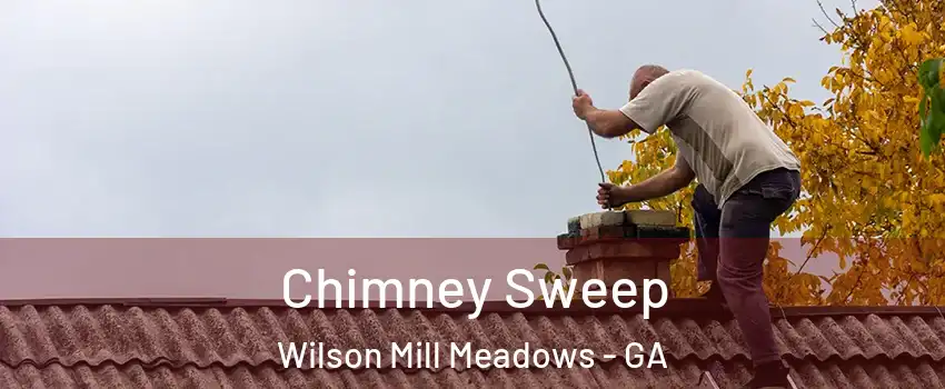 Chimney Sweep Wilson Mill Meadows - GA