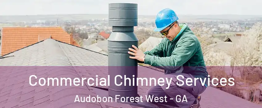 Commercial Chimney Services Audobon Forest West - GA