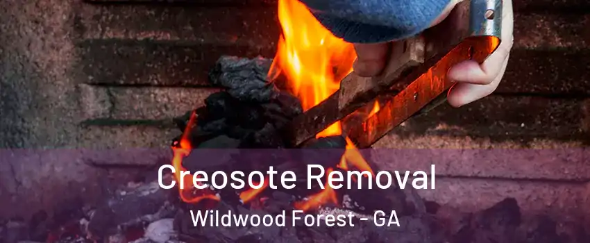 Creosote Removal Wildwood Forest - GA