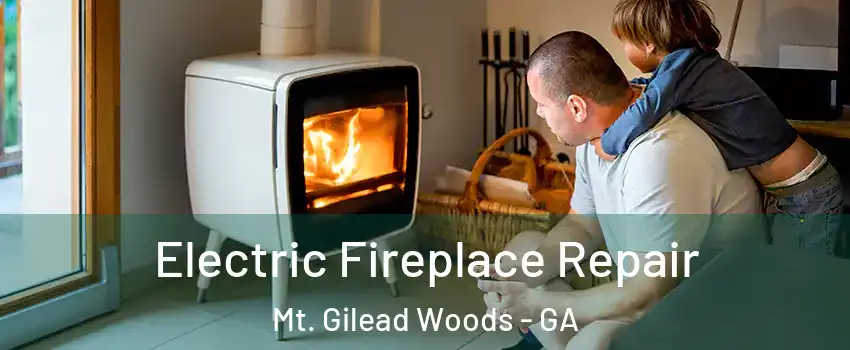 Electric Fireplace Repair Mt. Gilead Woods - GA