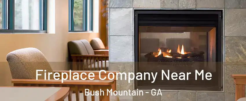 Fireplace Company Near Me Bush Mountain - GA