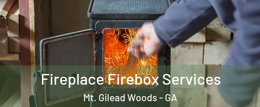 Fireplace Firebox Services Mt. Gilead Woods - GA