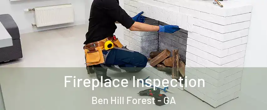 Fireplace Inspection Ben Hill Forest - GA