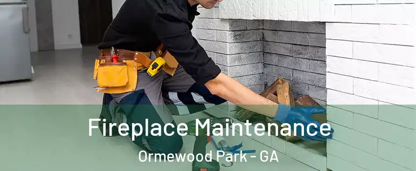 Fireplace Maintenance Ormewood Park - GA