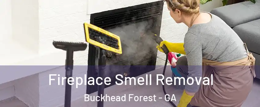 Fireplace Smell Removal Buckhead Forest - GA