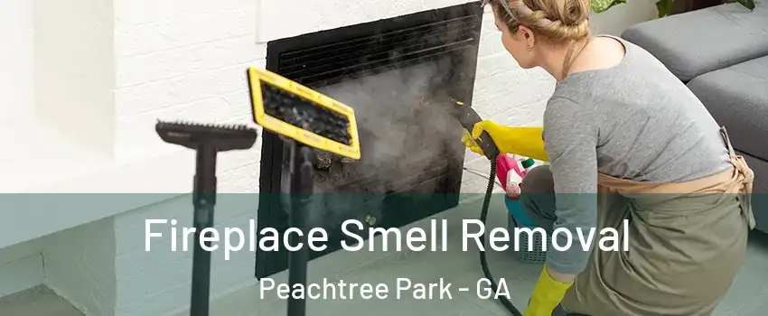 Fireplace Smell Removal Peachtree Park - GA