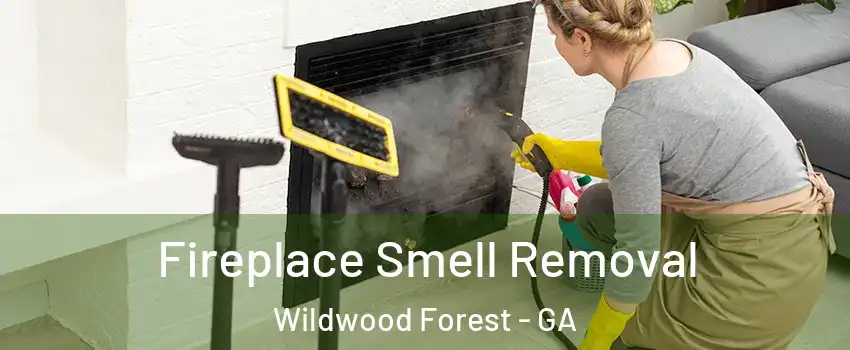 Fireplace Smell Removal Wildwood Forest - GA