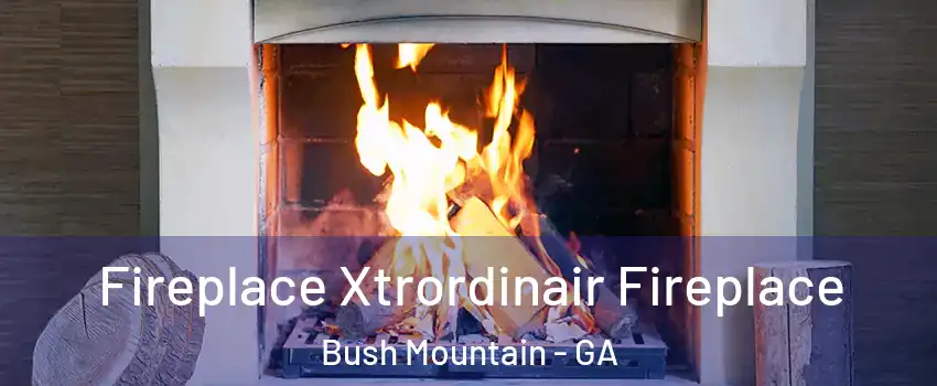 Fireplace Xtrordinair Fireplace Bush Mountain - GA